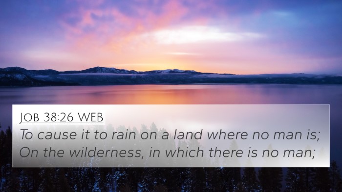 Job 38:26 WEB Bible Verse Image