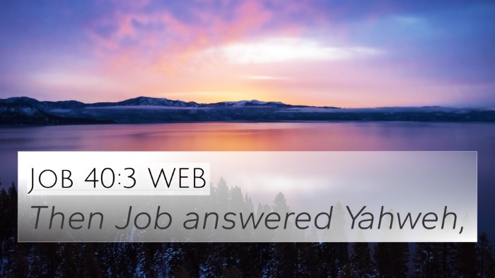 Job 40:3 WEB Bible Verse Image