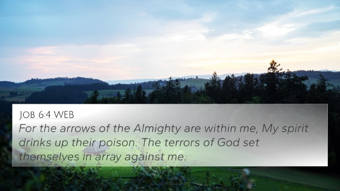Job 6:4 WEB Bible Verse Image