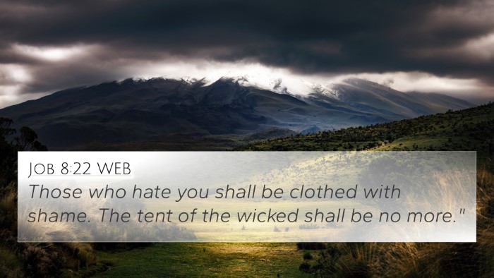 Job 8:22 WEB Bible Verse Image