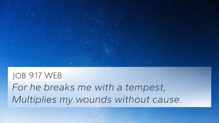 Job 9:17 WEB Bible Verse Image