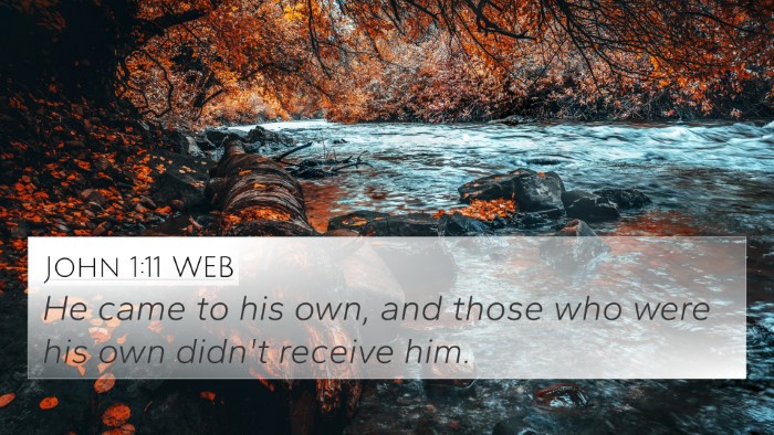 John 1:11 WEB Bible Verse Image