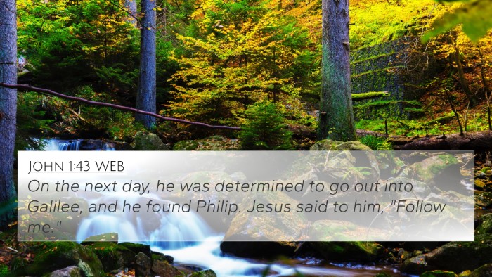 John 1:43 WEB Bible Verse Image