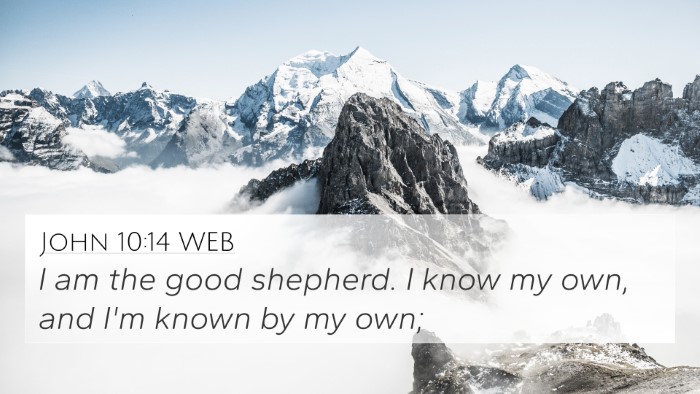 John 10:14 WEB Bible Verse Image
