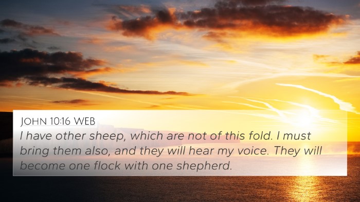 John 10:16 WEB Bible Verse Image