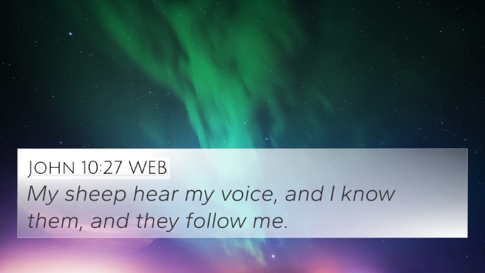 John 10:27 WEB Bible Verse Image