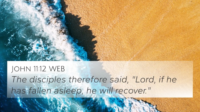 John 11:12 WEB 4K Wallpaper - The disciples therefore said, 