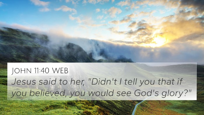 John 11:40 WEB Bible Verse Image