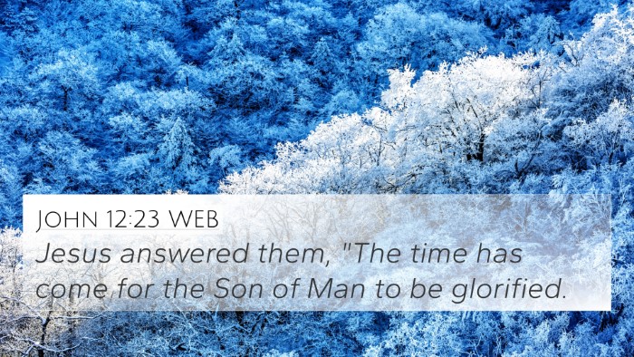John 12:23 WEB Bible Verse Image
