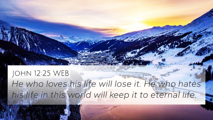 John 12:25 WEB Bible Verse Image