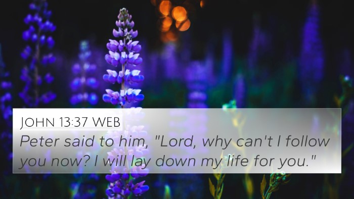 John 13:37 WEB Bible Verse Image