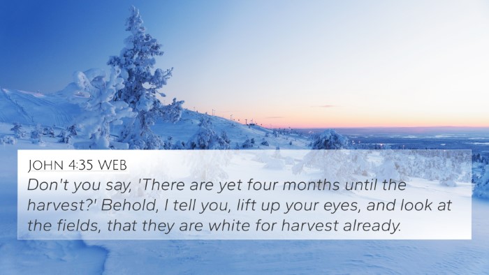 John 4:35 WEB 4K Wallpaper - Don't you say, 'There are yet four months until - 4K Wallpaper Bible Verse