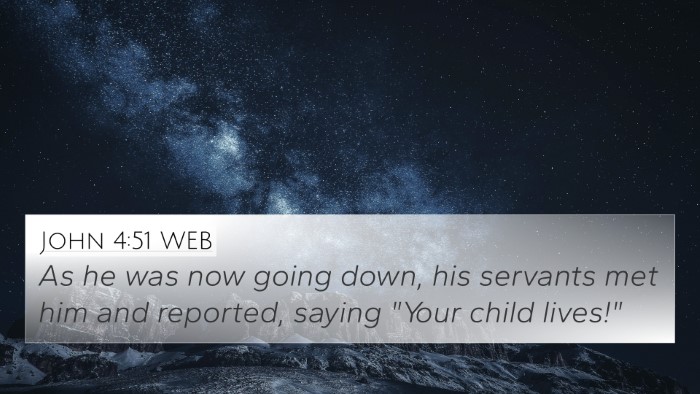 John 4:51 WEB 4K Wallpaper - As he was now going down, his servants met him - 4K Wallpaper Bible Verse