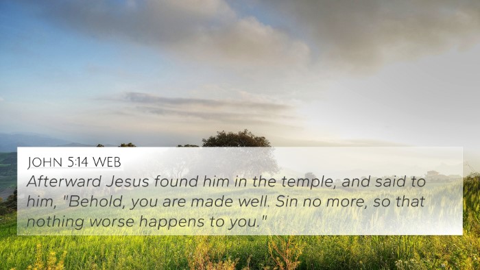 John 5:14 WEB Bible Verse Image