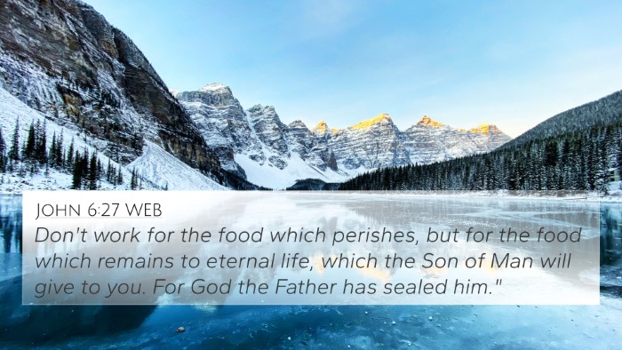 John 6:27 WEB Bible Verse Image