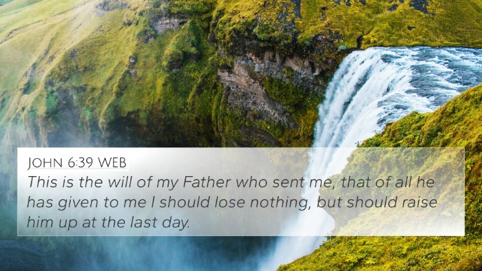 John 6:39 WEB Bible Verse Image