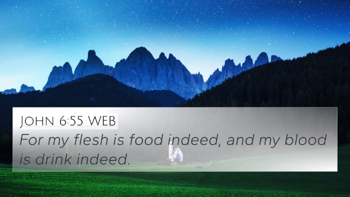 John 6:55 WEB Bible Verse Image