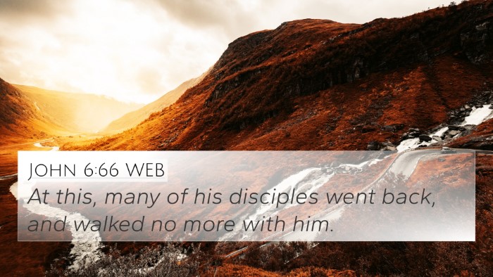 John 6:66 WEB Bible Verse Image