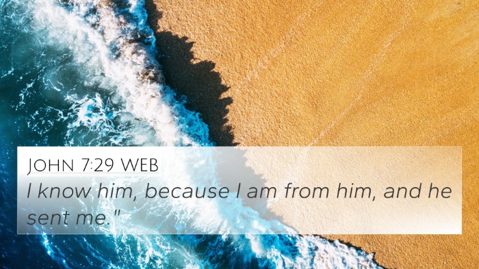 John 7:29 WEB Bible Verse Image