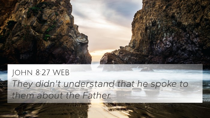 John 8:27 WEB Bible Verse Image