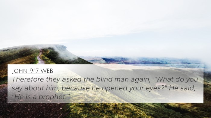 John 9:17 WEB Bible Verse Image