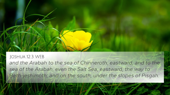 Joshua 12:3 WEB Bible Verse Image