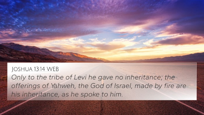 Joshua 13:14 WEB Bible Verse Image