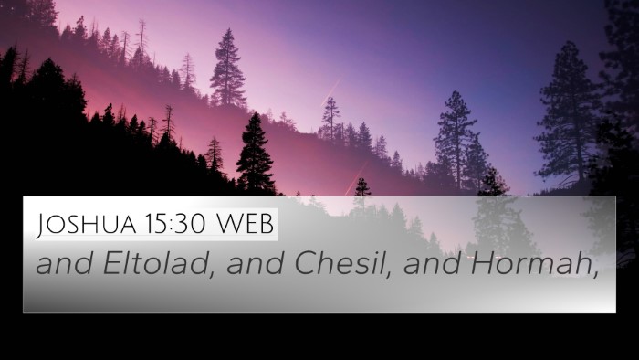 Joshua 15:30 WEB Bible Verse Image