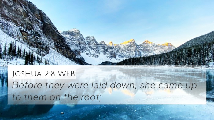 Joshua 2:8 WEB Bible Verse Image