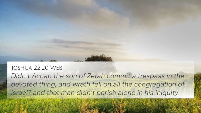Joshua 22:20 WEB Bible Verse Image