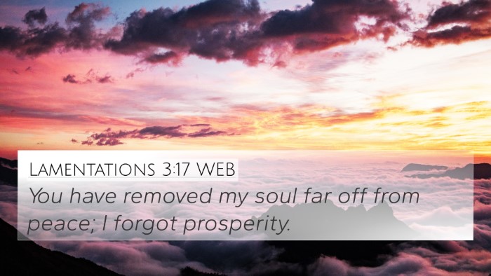 Lamentations 3:17 WEB 4K Wallpaper - You have removed my soul far off from peace; I - 4K Wallpaper Bible Verse