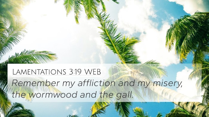 Lamentations 3:19 WEB Bible Verse Image