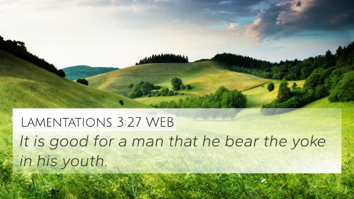 Lamentations 3:27 WEB Bible Verse Image