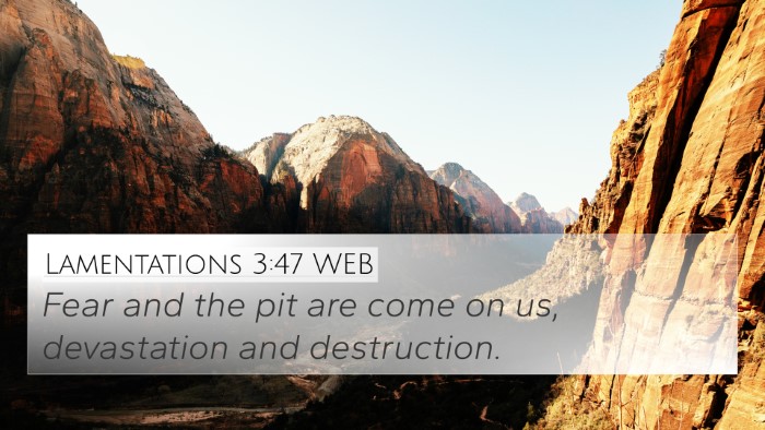 Lamentations 3:47 WEB Bible Verse Image