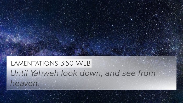 Lamentations 3:50 WEB Bible Verse Image