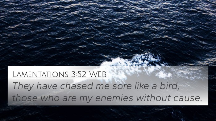 Lamentations 3:52 WEB Bible Verse Image