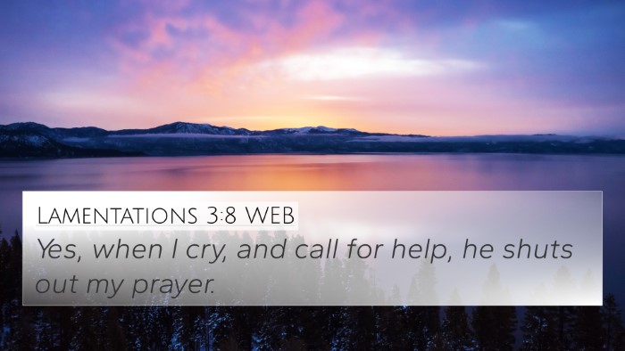 Lamentations 3:8 WEB Bible Verse Image