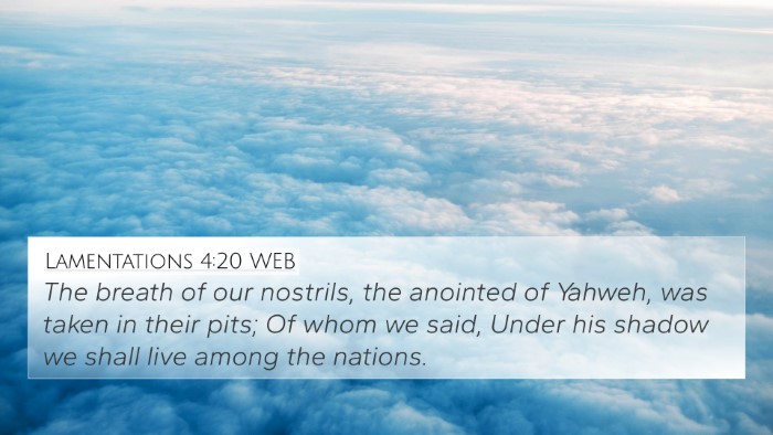 Lamentations 4:20 WEB Bible Verse Image