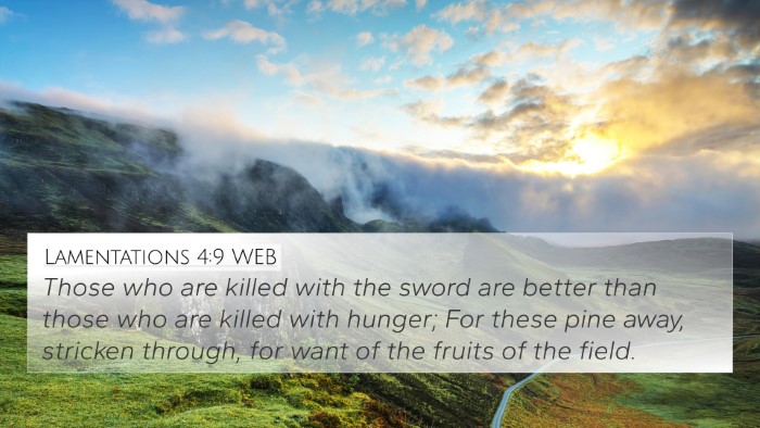Lamentations 4:9 WEB Bible Verse Image