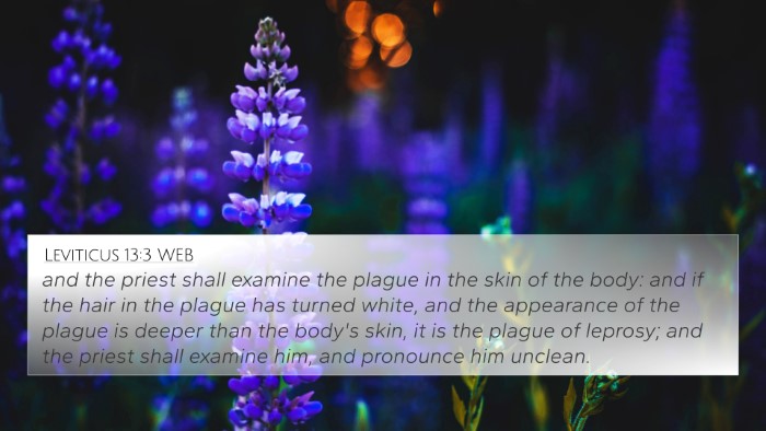 Leviticus 13:3 WEB Bible Verse Image
