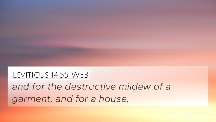 Leviticus 14:55 WEB 4K Wallpaper - and for the destructive mildew of a garment, and - 4K Wallpaper Bible Verse