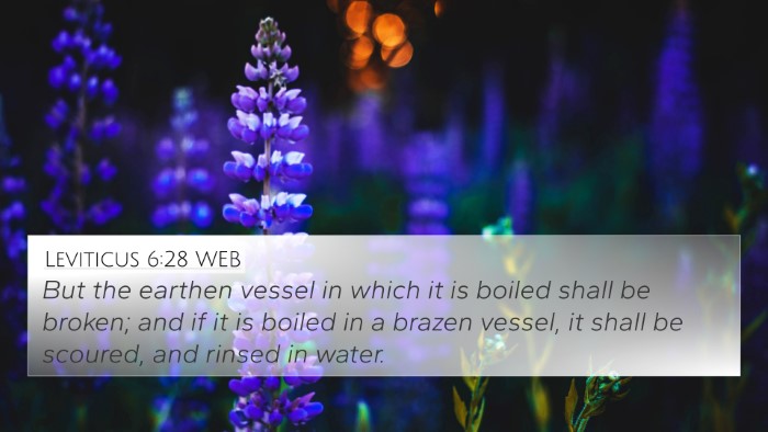 Leviticus 6:28 WEB Bible Verse Image
