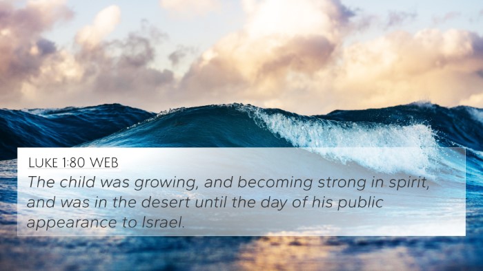 Luke 1:80 WEB Bible Verse Image