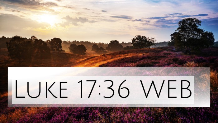 Luke 17:36 WEB 4K Wallpaper -  - 4K Wallpaper Bible Verse