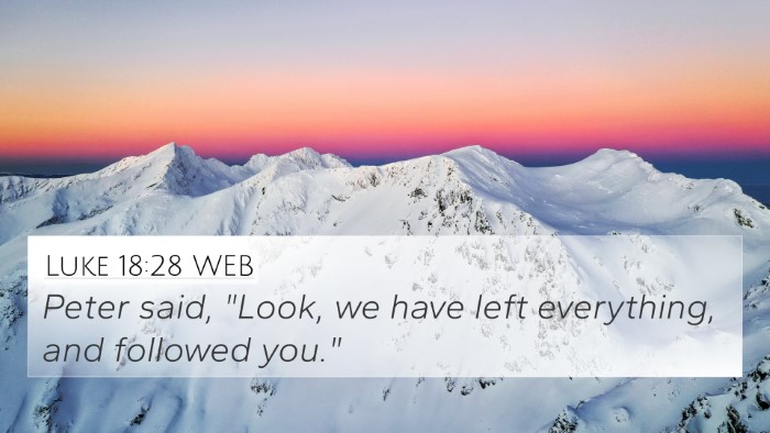 Luke 18:28 WEB Bible Verse Image