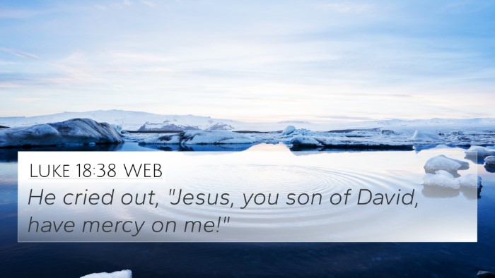 Luke 18:38 WEB Bible Verse Image