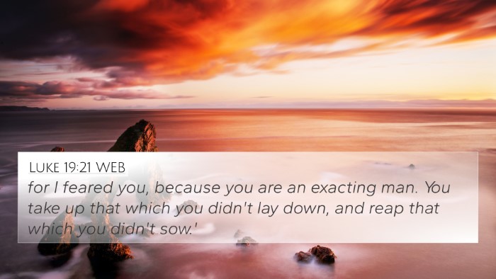Luke 19:21 WEB Bible Verse Image