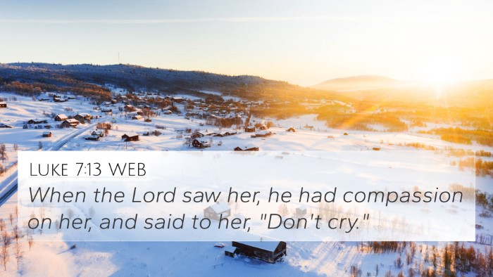 Luke 7:13 WEB Bible Verse Image