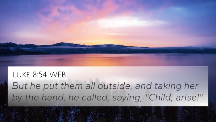 Luke 8:54 WEB Bible Verse Image