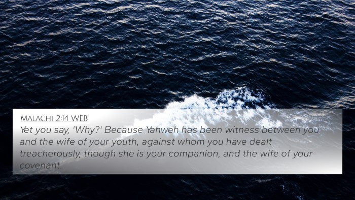 Malachi 2:14 WEB Bible Verse Image